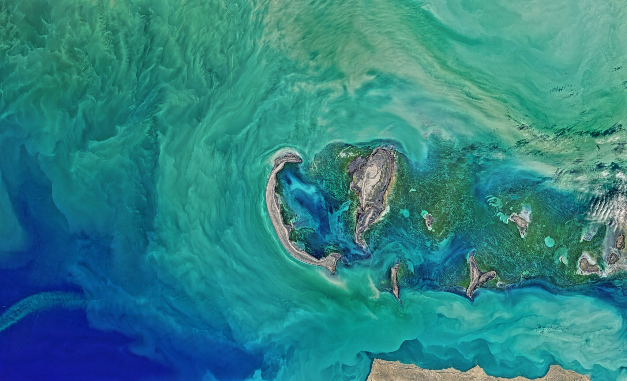 the-earthshot-prize-kickstarts-year-2-s-search-for-the-world-s-most